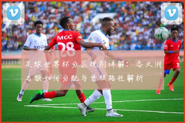 足球世界杯分区规则详解：各大洲名额如何分配与晋级路径解析