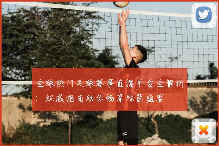 全球热门足球赛事直播平台全解析：权威指南助你畅享绿茵盛宴
